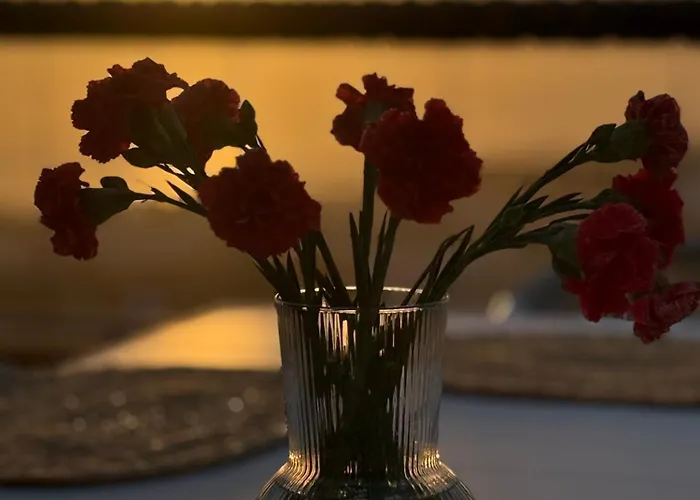 Lejlighed Casa Clara Ocean&mountains View Costa Adeje (Tenerife)